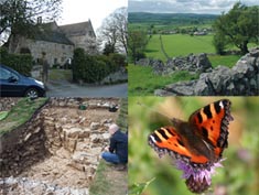 Multiple images of a church, a stone wall in a field, an archaeological digging site and an orange butterfly resting upon a pink flower