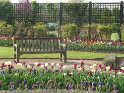 Elvaston Old English Garden spring